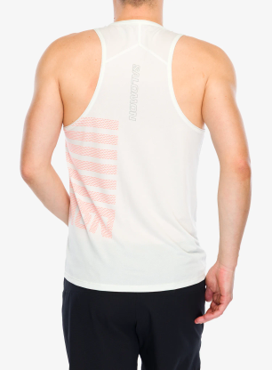 Футболка для бігу Salomon Sense Aero Singlet GFX - icicle