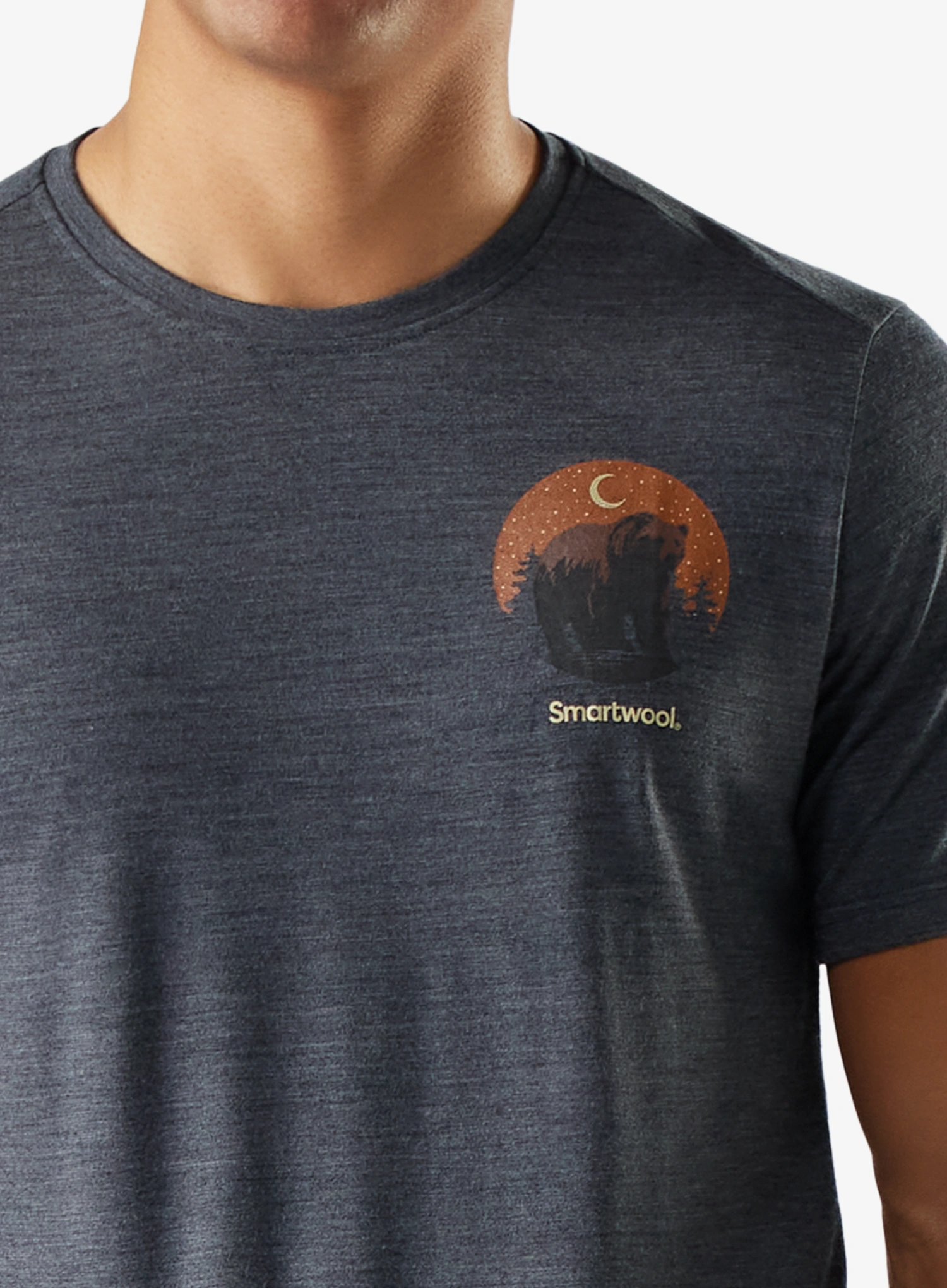 Футболка з мериноса Smartwool Lunar Bear Active Short Sleeve Graphic Tee - charcoal heather