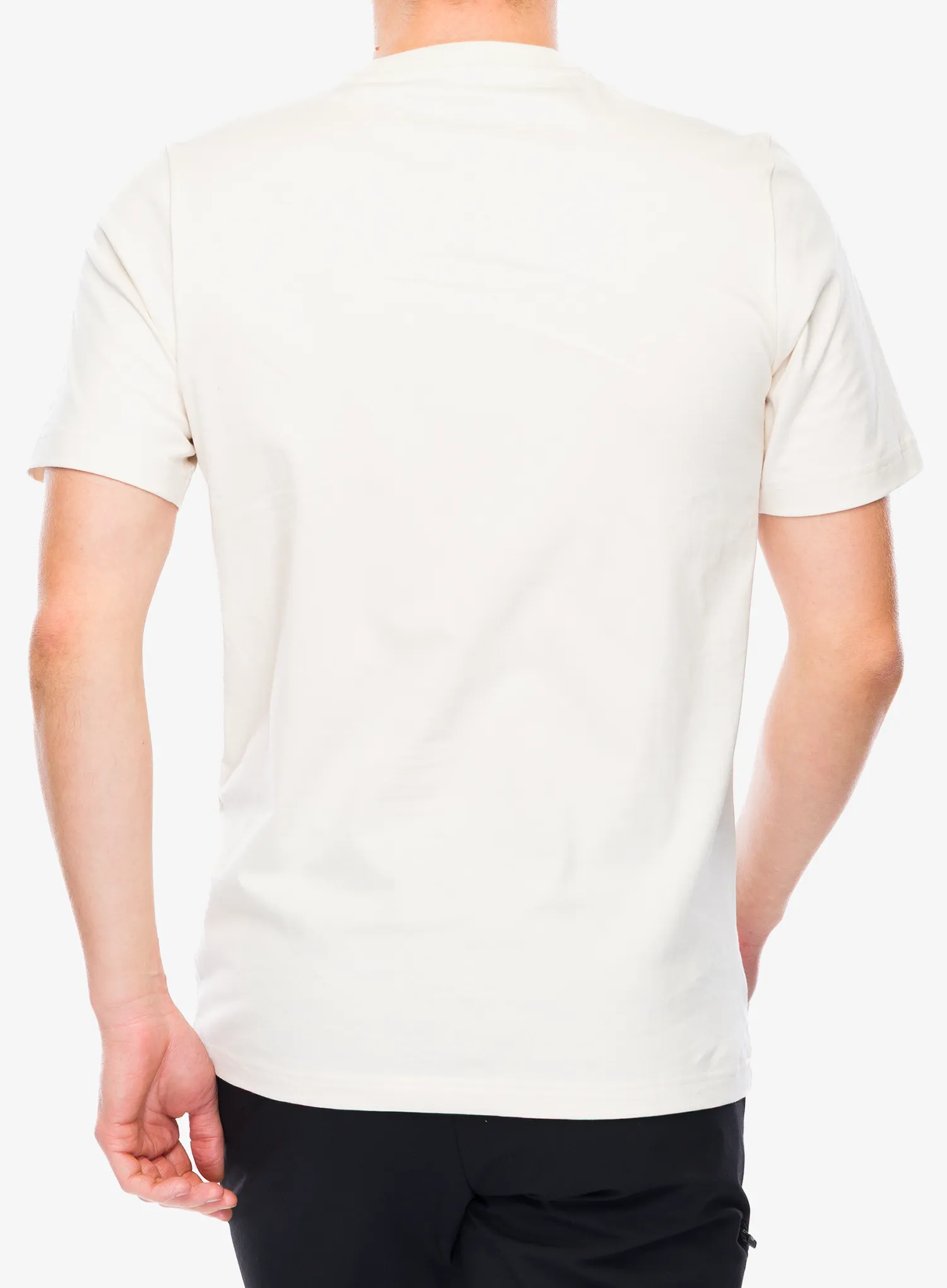 Футболка з принтом adidas TERREX Wild Tee - wonder white