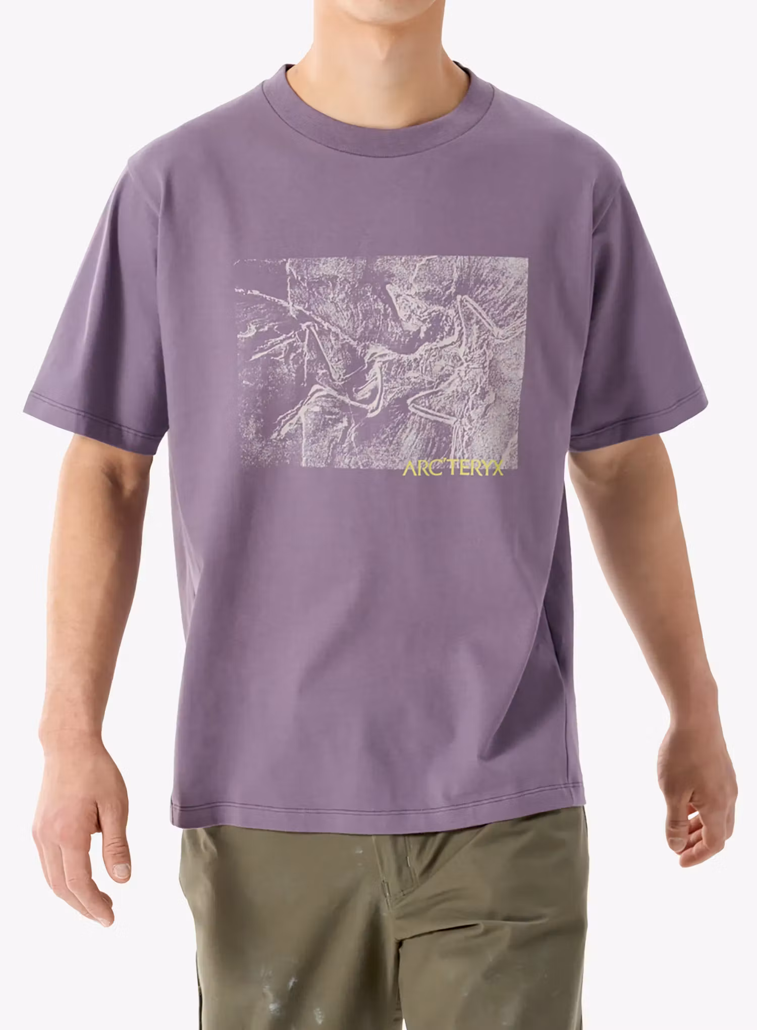 qweArcteryxKraggCottonLithographicaSSltmoondrop623555811572a.webp