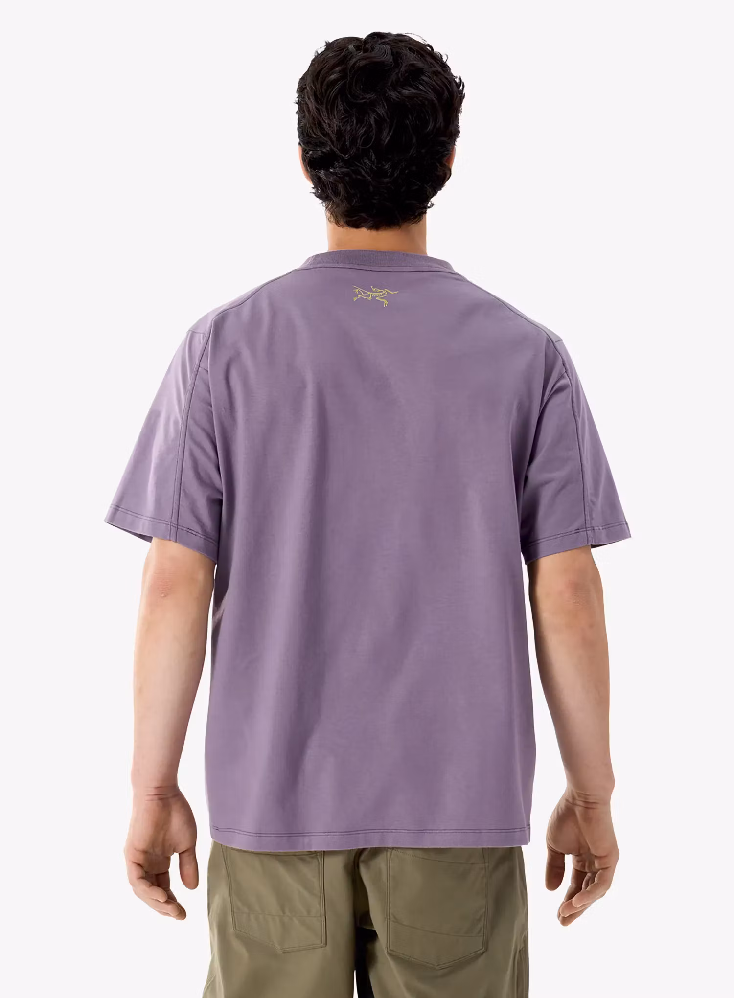 Футболка з принтом Arcteryx Kragg Cotton Lithographica SS - lt moondrop