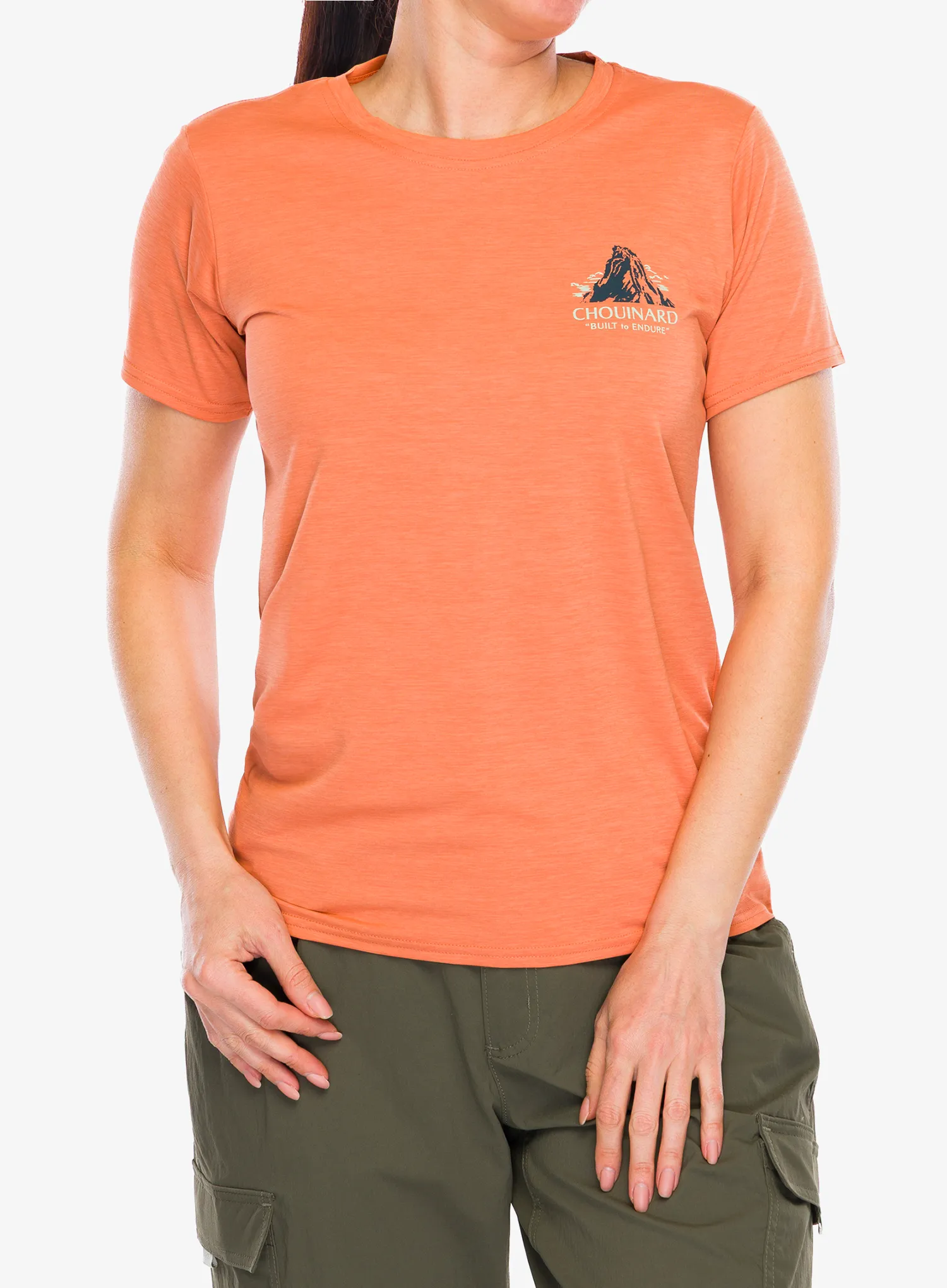 PatagoniaCapCoolDailyGraphicShirtLands_chouinardcrestrockmelo196924852006a.webp