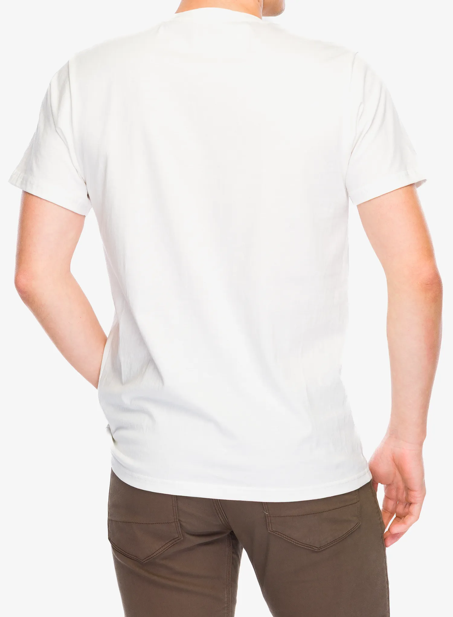 Футболка з принтом Stance Botanica Tee - canvas
