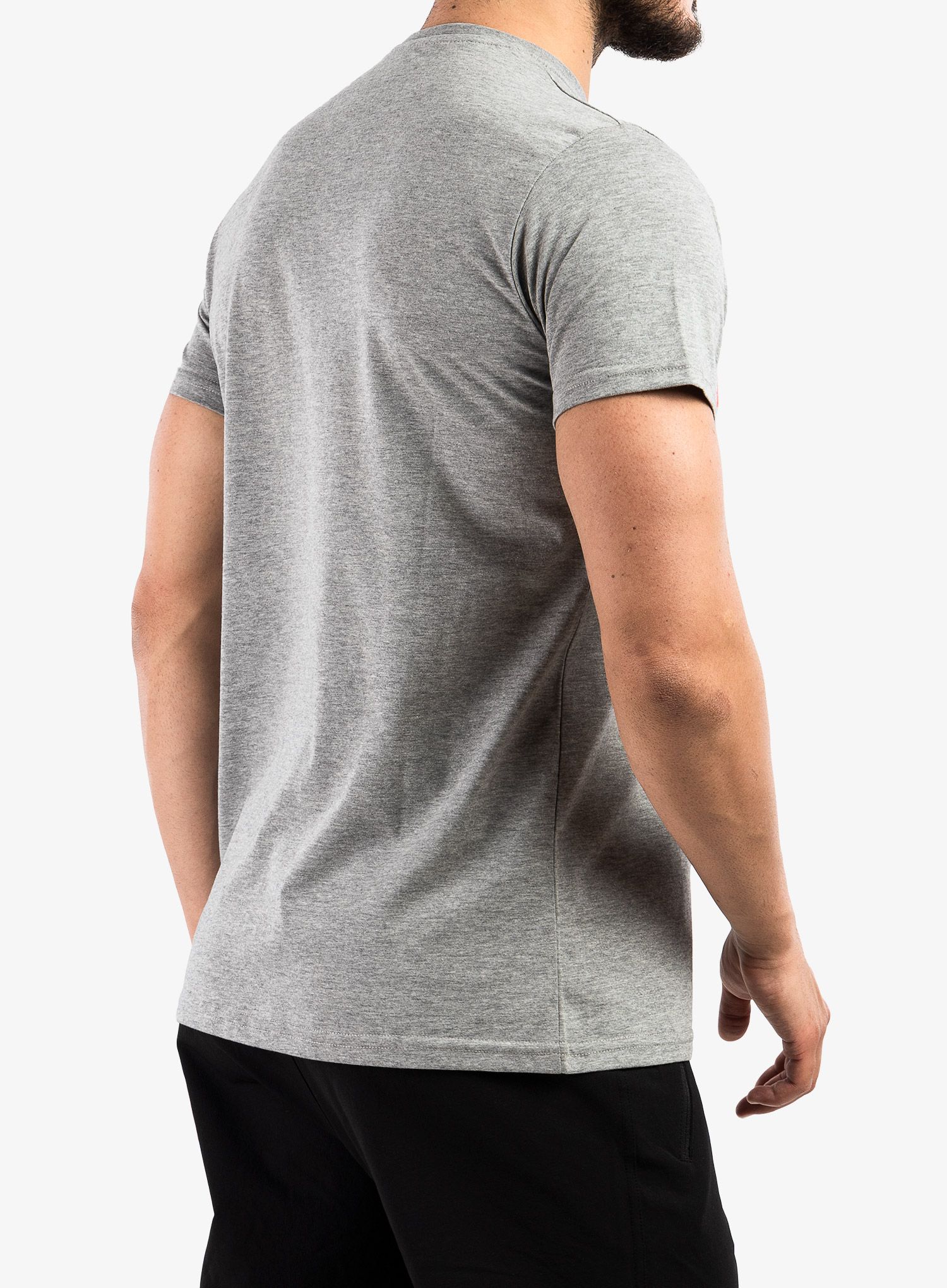 Футболка з принтом Majesty Logo T-shirt - grey