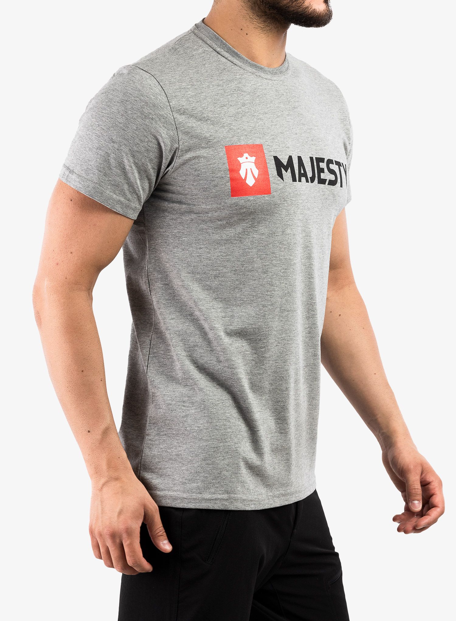 Футболка з принтом Majesty Logo T-shirt - grey