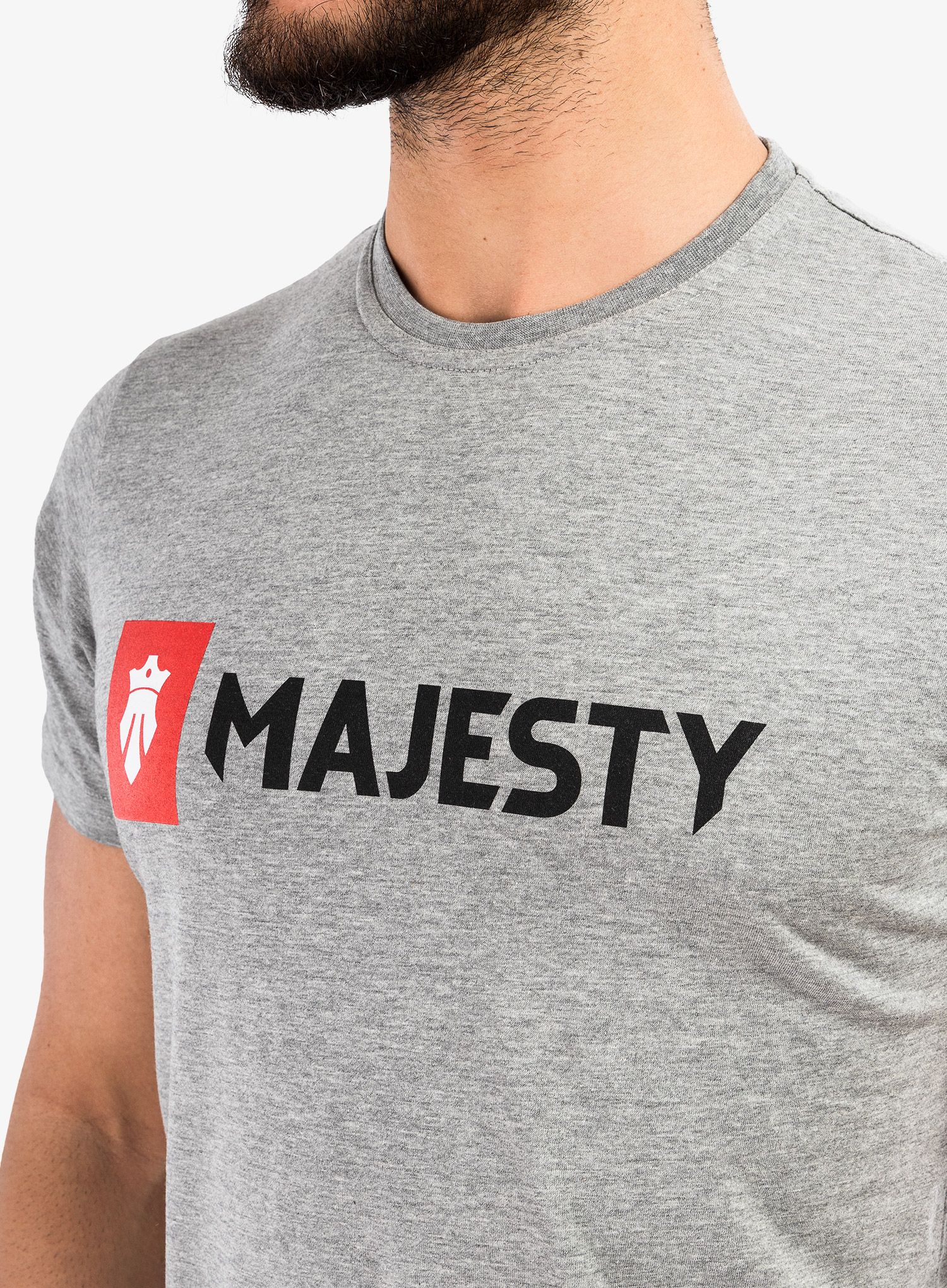 Футболка з принтом Majesty Logo T-shirt - grey