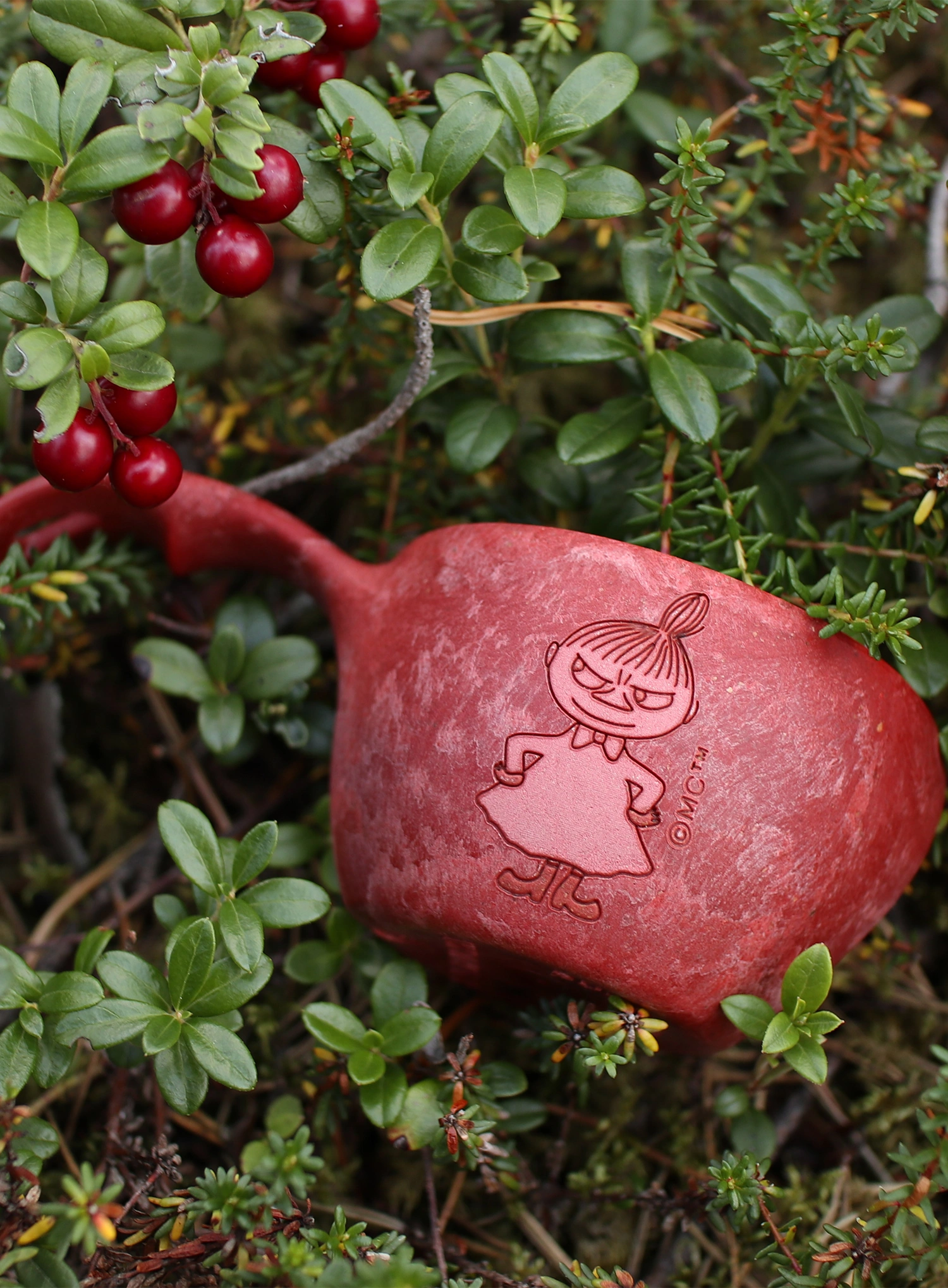Чашка туристична Kupilka 12 Moomin Little My (0,12 l) - red