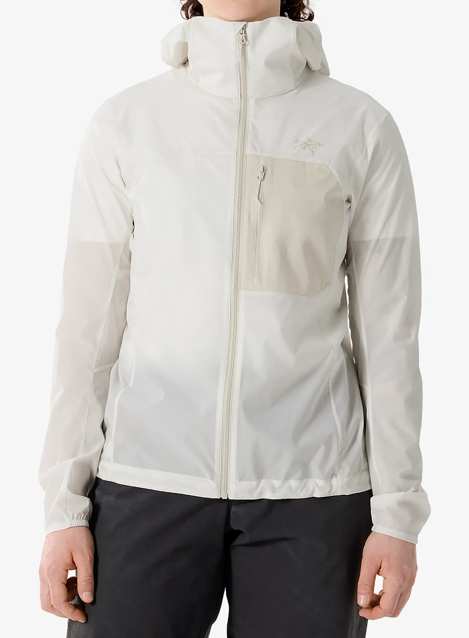 qweArcteryxSquamishHoodyarcticsilkseasalt623555841821a.webp