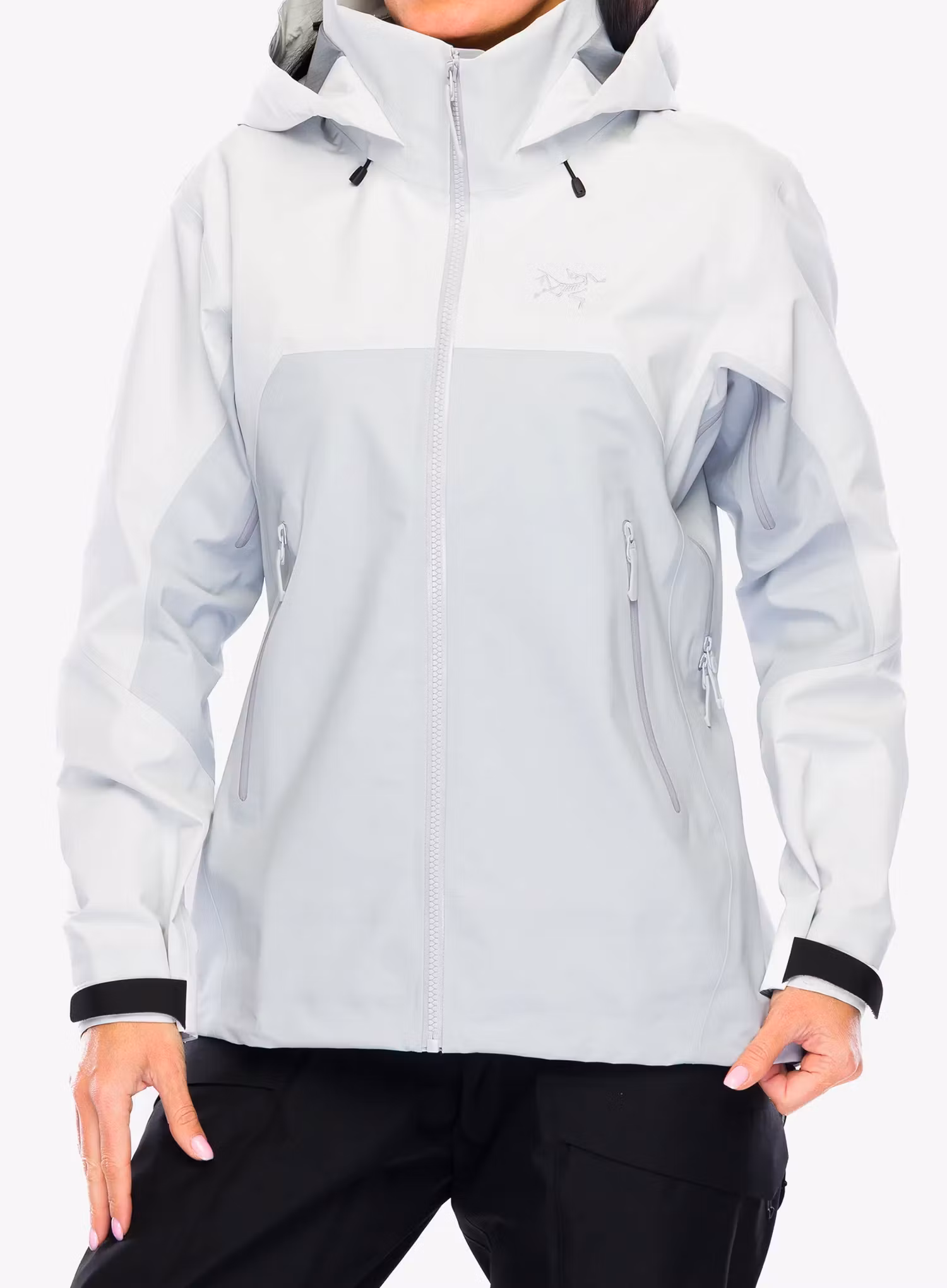 ArcteryxBetaARJacket_arcticsilksolitud623555682738a.webp