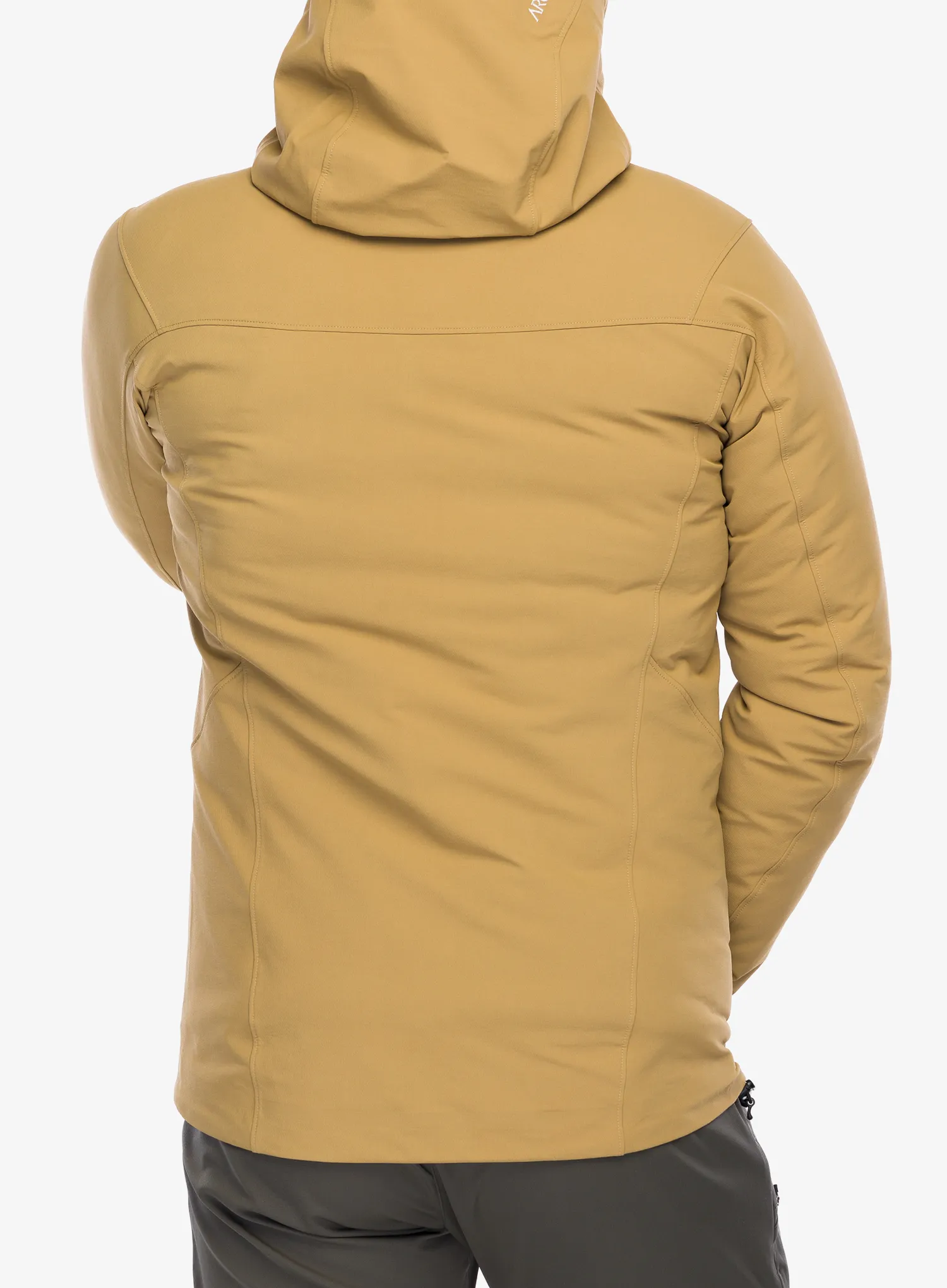 Куртка softshell Arcteryx Gamma Hoody - canvas