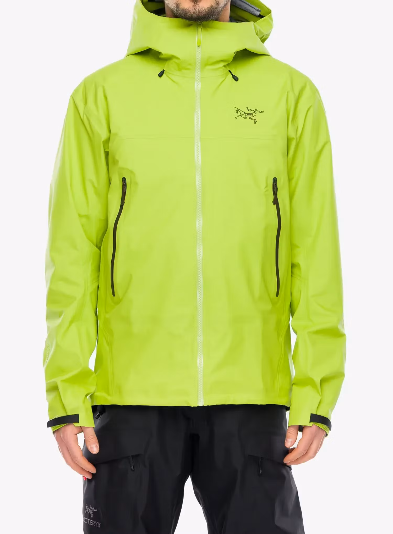 Куртка дощовик Arcteryx Beta SL Jacket - mantis/tatsu