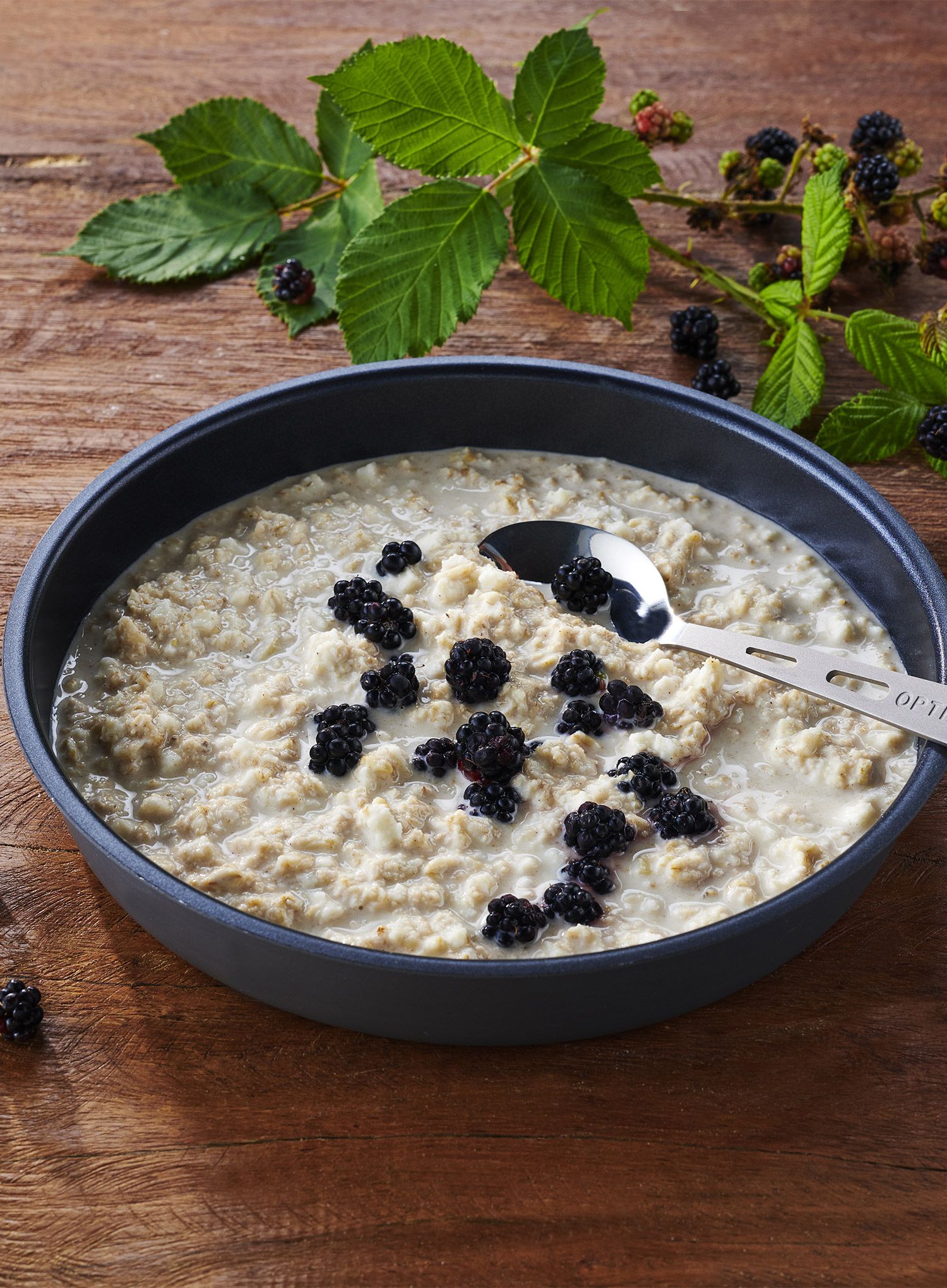 Сублімована Trek'n Eat Protein porridge 170g
