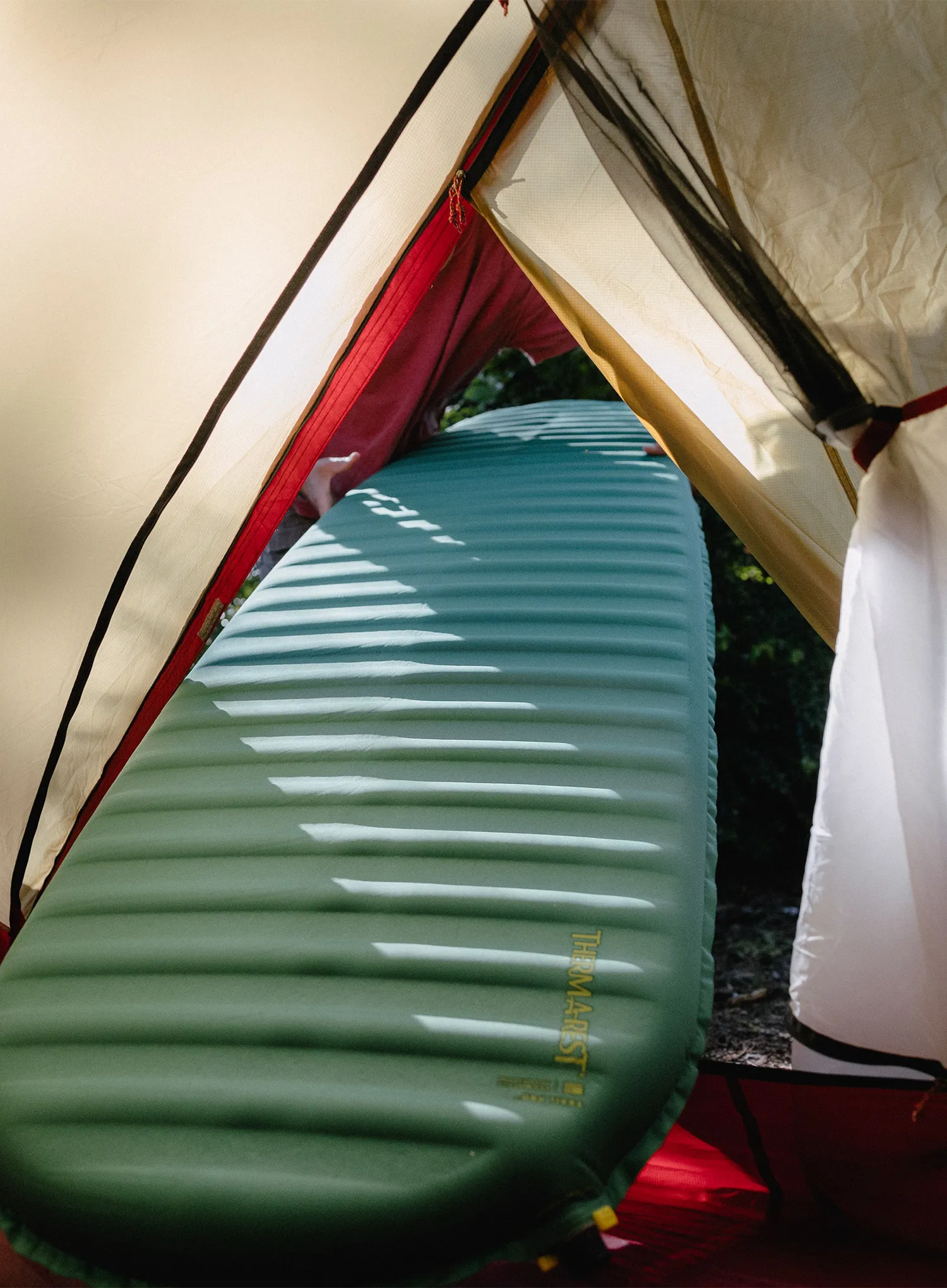 Килимок самонадувний Therm a Rest Trail Pro RW - pine