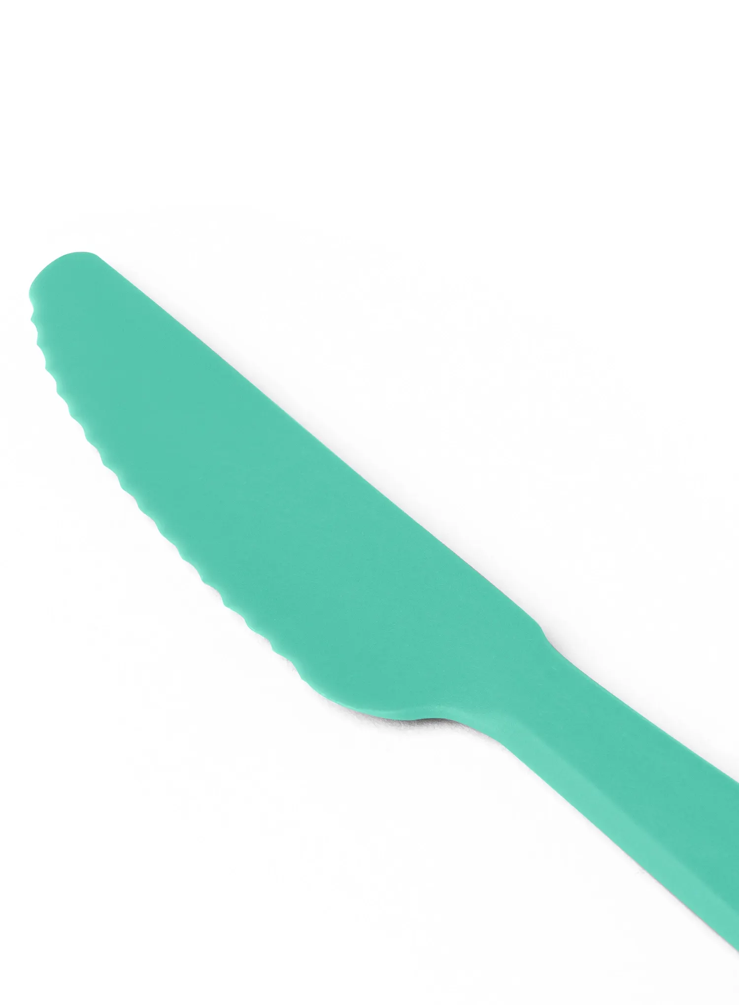 Ніж туристичний Sea to Summit Camp Cutlery Knife - cabbage