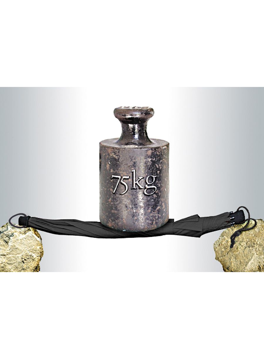 Парасолька Euroschirm Birdiepal Outdoor - black