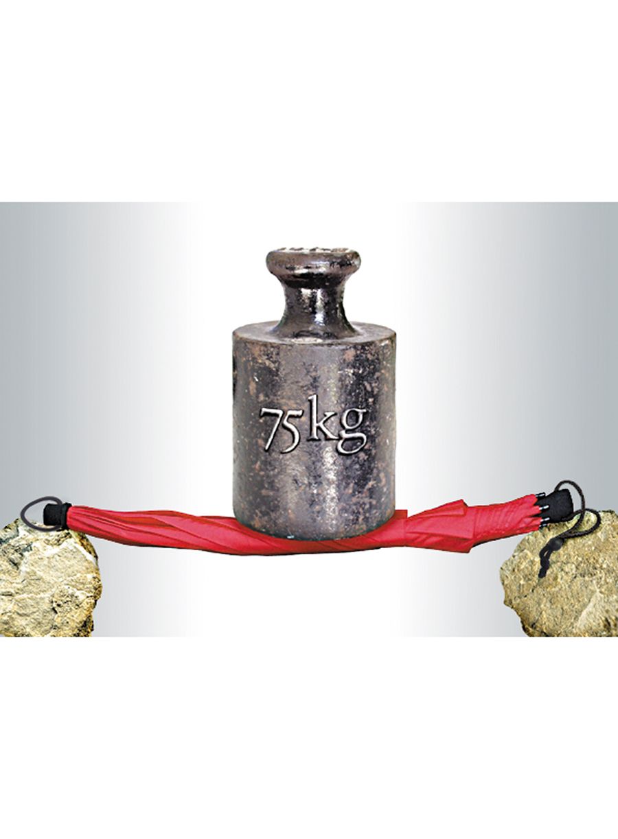 Парасолька Euroschirm Birdiepal Outdoor - red