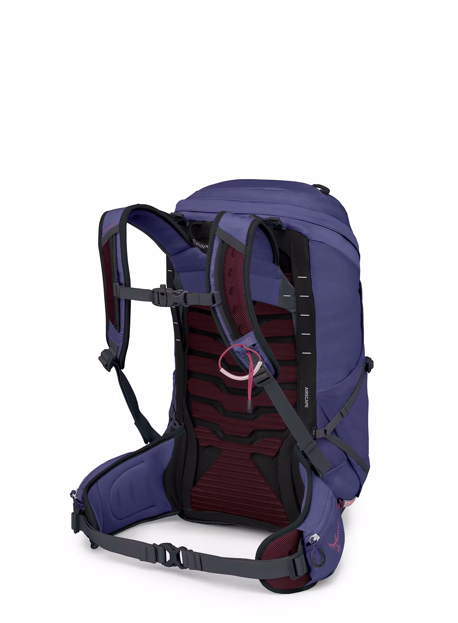 Рюкзак туристичний жіночий Osprey Tempest 26 - deep fig hotspot pink