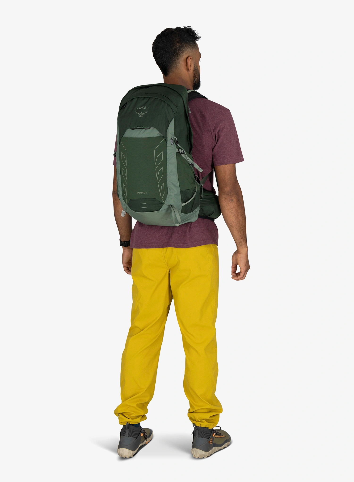 Рюкзак туристичний Osprey Talon 22 - green canopy pine leaf