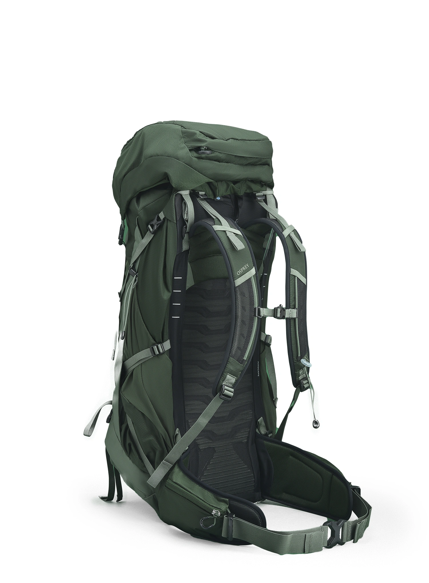 Рюкзак туристичний Osprey Talon 44 - green canopy pine leaf