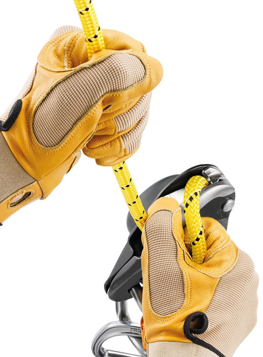 Спусковий пристрій Petzl Rig - black