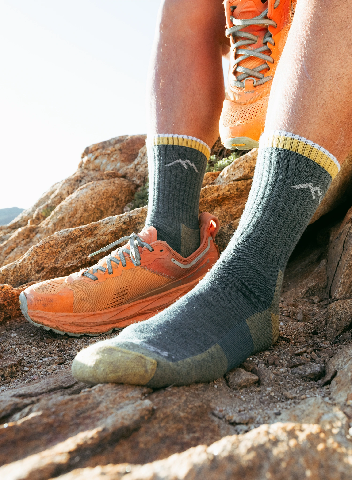 Шкарпетки трекінгові Darn Tough Hiker Micro Crew Midweight with Cushion - spruce