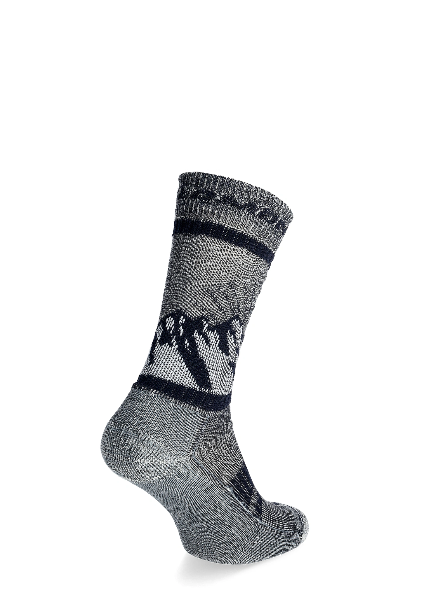 Шкарпетки туристичні Salomon Retro Wool - carbon/trooper