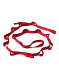 Стрічка Black Diamond 18 mm Nylon Daisy Chain 115 cm - red