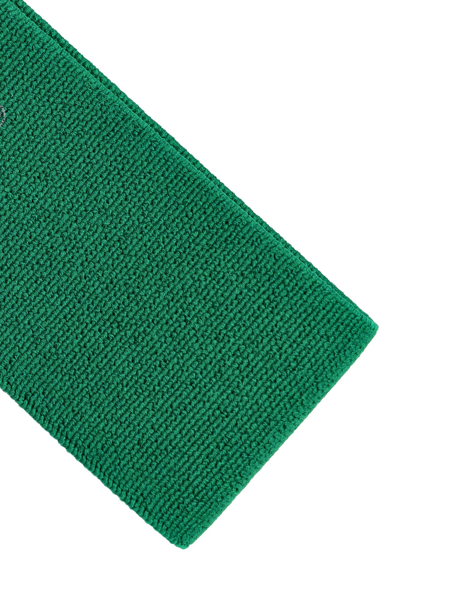 Стрічка для тренувань Blackroll Loop Band - green