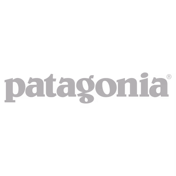 Patagonia logo